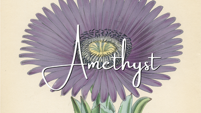 Curated Collection: Amethyst