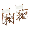 Folding Directors Chair