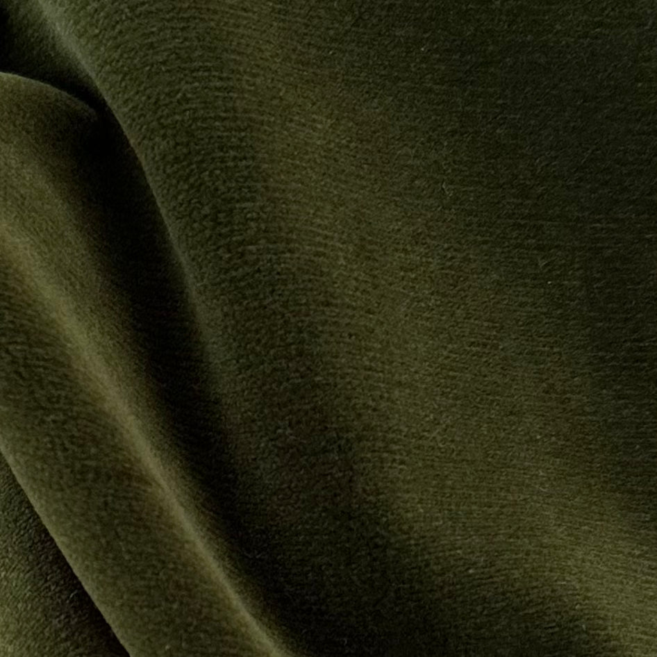 Fabric: Rivoli Velvet - Cactus