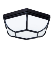 Ceiling Light: Pennington