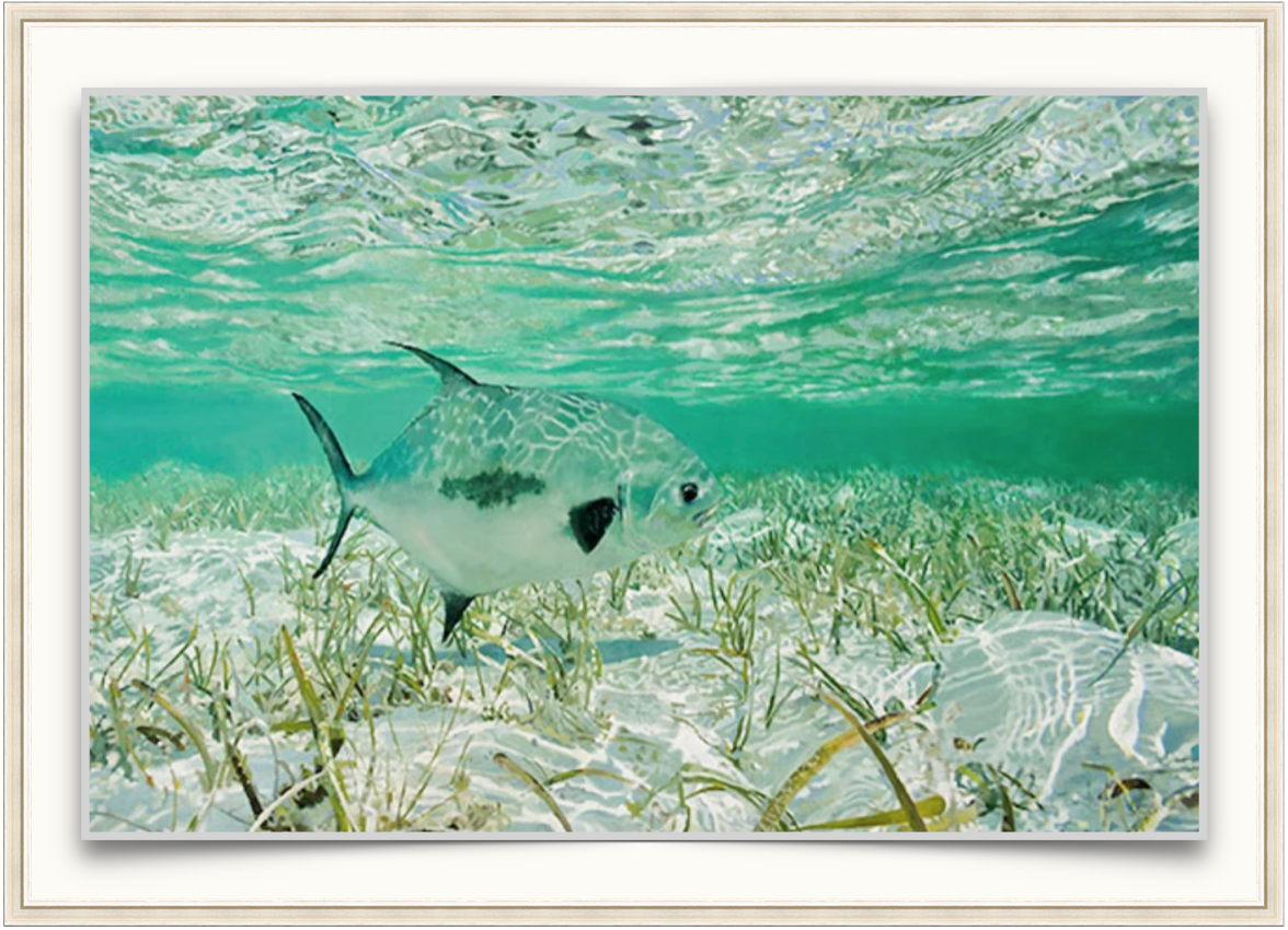 Free Swimmer - Marine Art Print