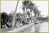 A fine art print from an antique photograph.  An image of spectators watching a boat race on the Intracoastal waterway at the winter residence of Henry Morrison Flagler on Palm Beach. Pairs with our Whitehall Collection.  Available print only or framed.