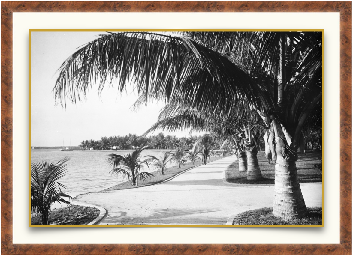 Lake Trail - Antique Photographic Print