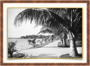 A fine art print from an antique photograph.  An image of a gentleman walking along the lake trail on Palm Beach Island. Available print only or framed.