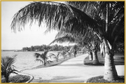 A fine art print from an antique photograph.  An image of a gentleman walking along the lake trail on Palm Beach Island. Available print only or framed.