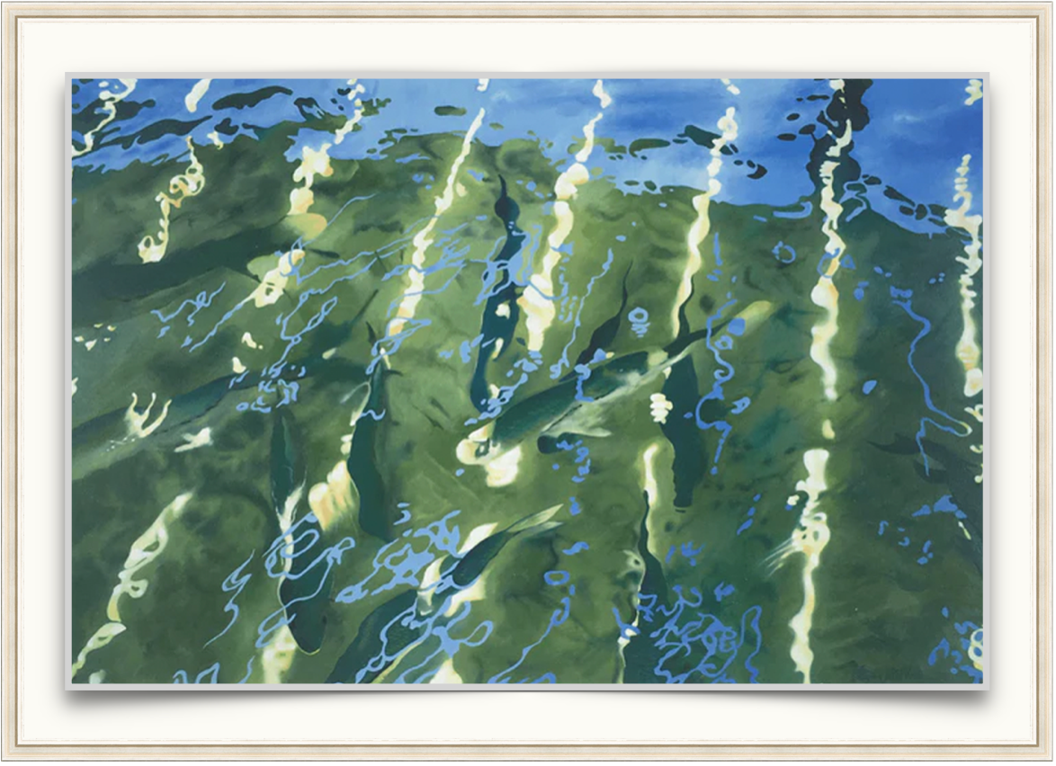 Snook Under The Dock - Marine Art Print