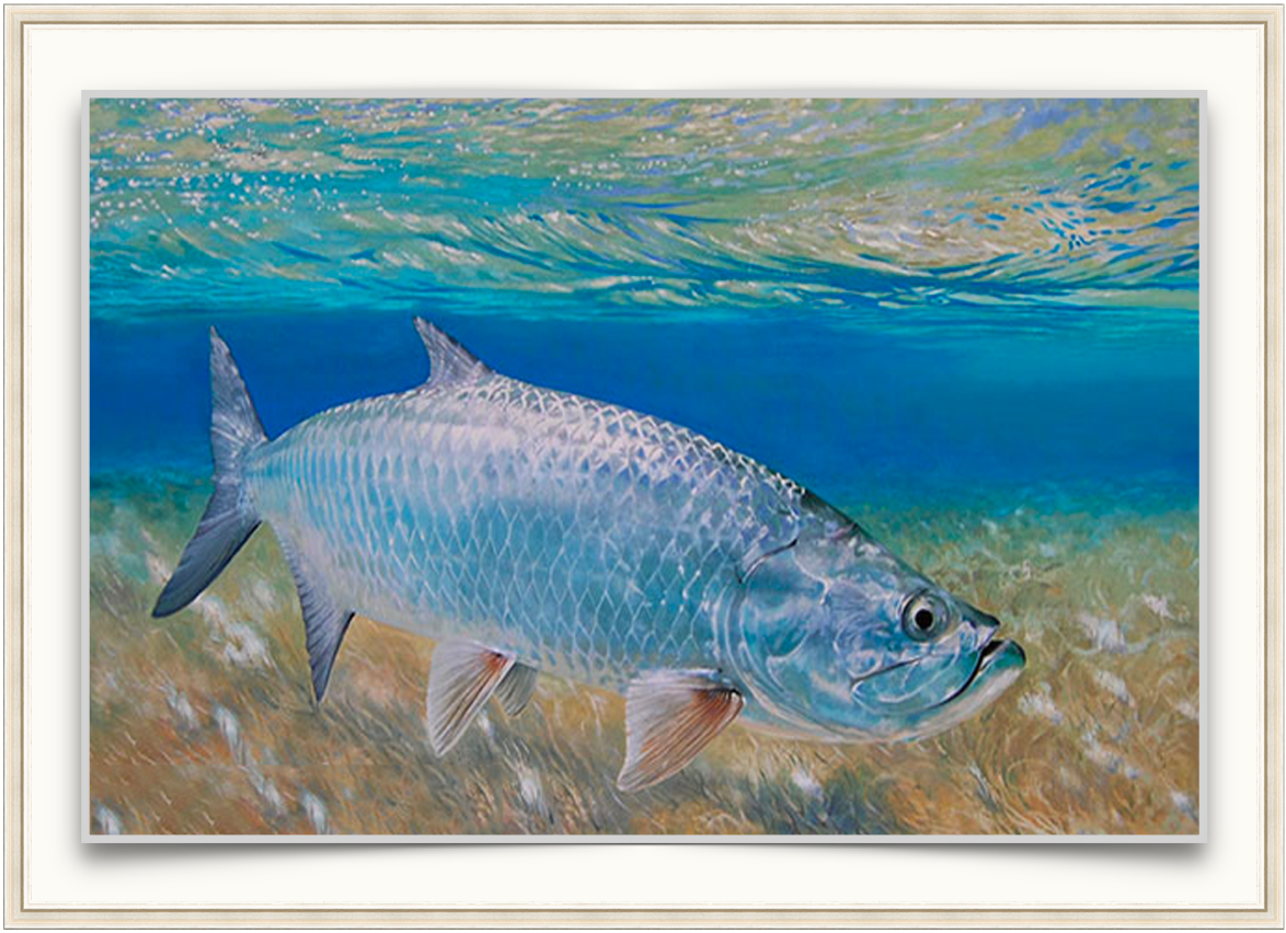 Tarpon on the Edge - Marine Art Print