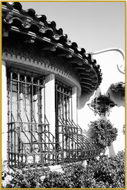 A fine art print from an antique photograph.  An image of artisan ironwork on windows of a home on Palm Beach Island.  Available print only or framed.
