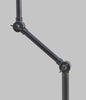 Desk Lamp: Buckton