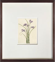 Lavender Grass - Framed Antique Botanical Print - Dixie & Grace