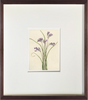 Lavender Grass - Framed Antique Botanical Print - Dixie & Grace