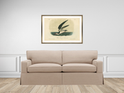 Skimming the Sea - Framed Antique Aves Print - Dixie & Grace