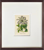 Fine Art Print: Lavender Clematis - Dixie & Grace