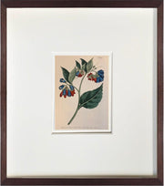 Fine Art Print: Patriot Flower - Dixie & Grace
