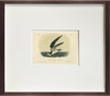 Fine Art Print: Skimming the Sea - Dixie & Grace