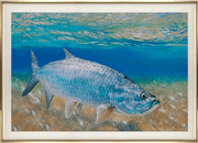 Fine Art Print: Tarpon on the Edge - Dixie & Grace