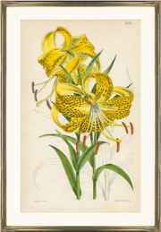 framed fine art print