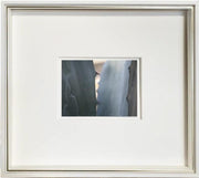 Photographic Print: Agave - Dixie & Grace