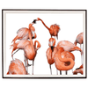 Photographic Print: Flamingo Dance - Dixie & Grace