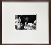 Photographic Print: Flamingo [Landscape] - Dixie & Grace