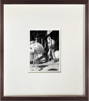 Photographic Print: Flamingo [Portrait] - Dixie & Grace