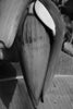 black & white photographic fine art print of banana plant flowering
