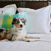 puppy dog on bed with throw pillow in palm beach plaid pattern with bed linens