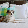 puppy dog on bed with throw pillow in palm beach plaid pattern with bed linens