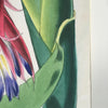 detail of vintage botanical print with gold edge